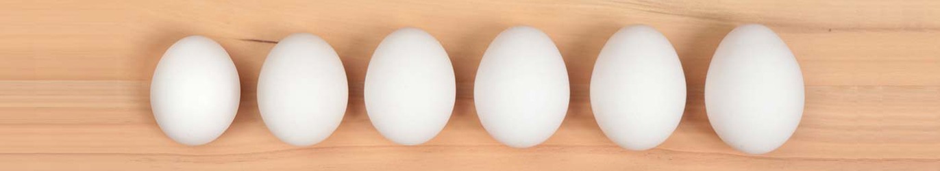 Eggs-Sizes_Banner