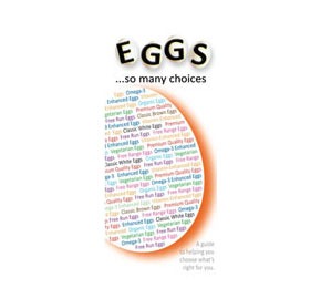 Eggs-So_Many_Choices